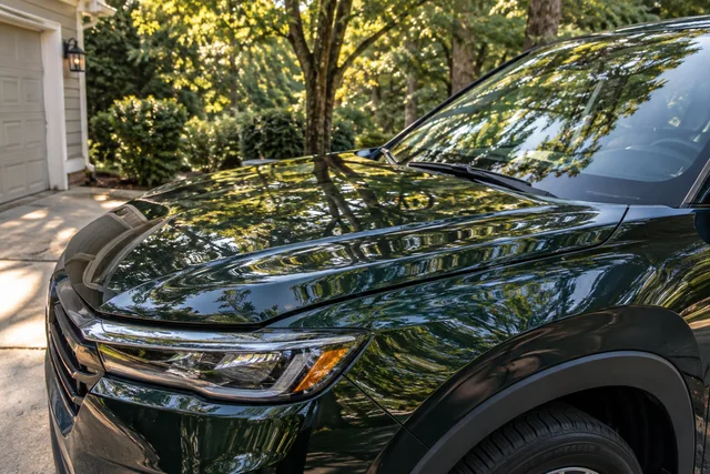 Glossy dark green hood reflecting nearby trees